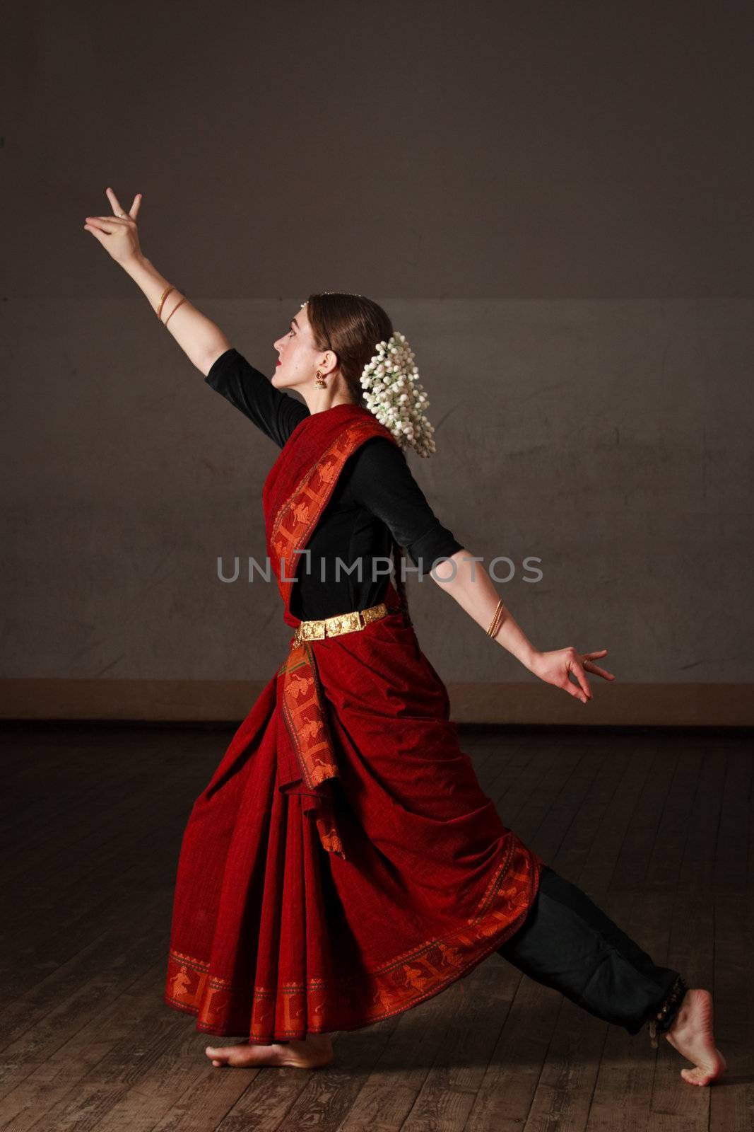 Exponent of  Bharat Natyam dance by dimol