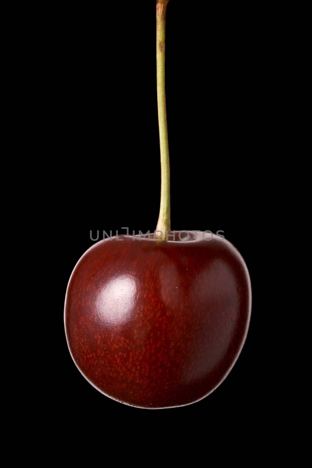 Cherry hanging isolated on black