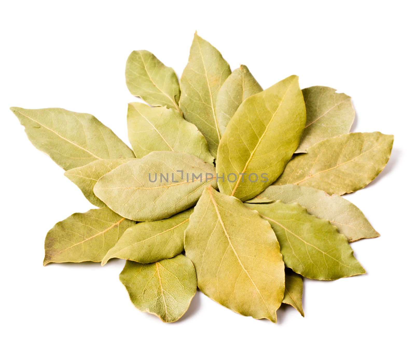 Pile of bay leaves isolated on white