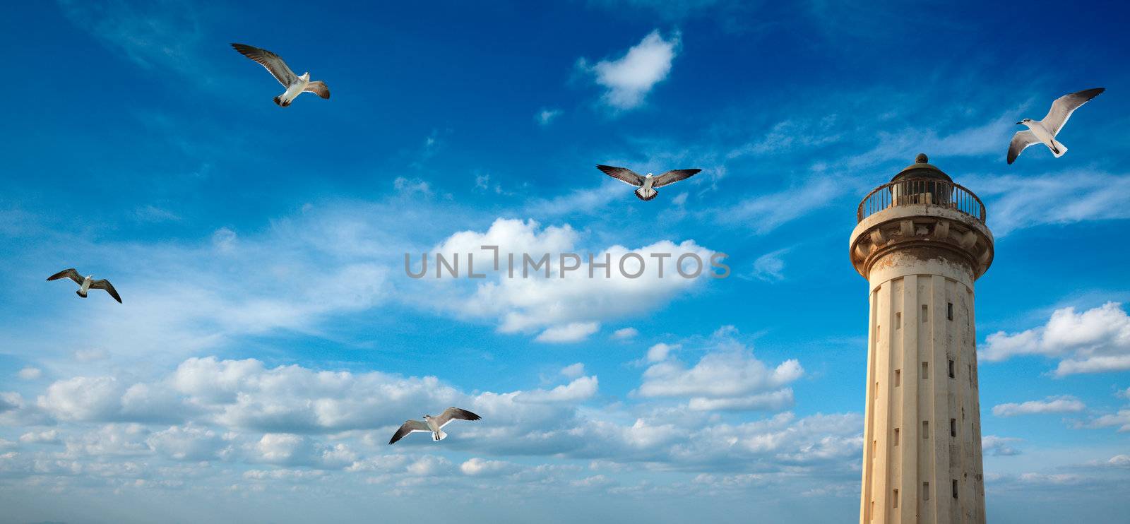 Old lighthouse in the blue sky with flying seagulls