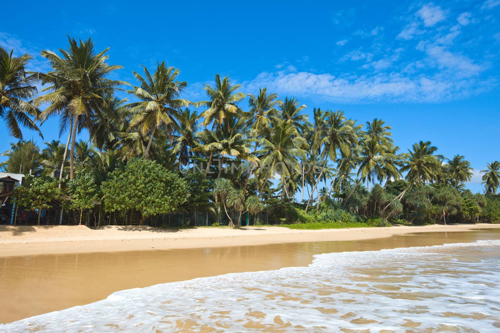 Tropical paradise idyllic beach. Sri Lanka