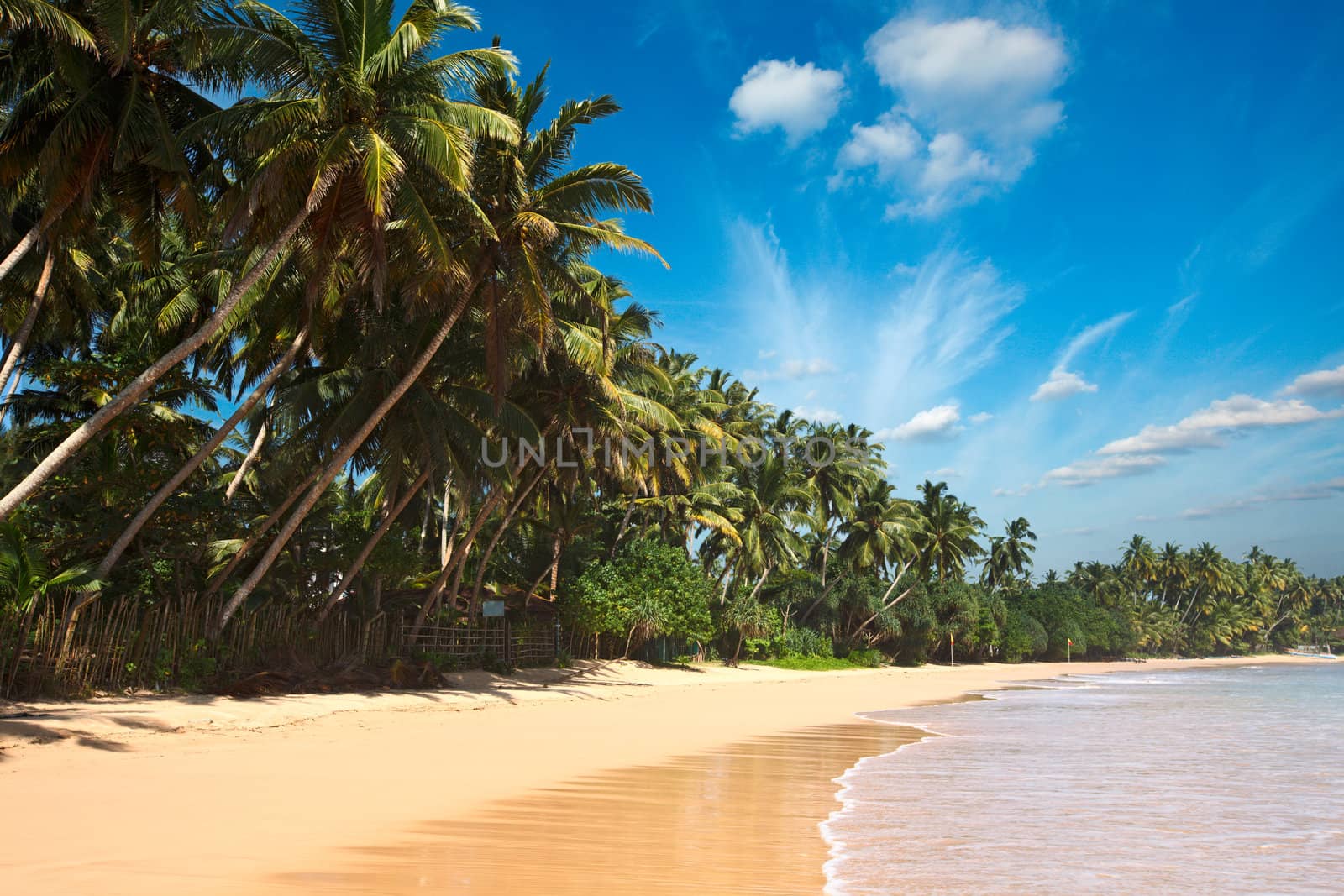 Tropical paradise idyllic beach. Sri Lanka