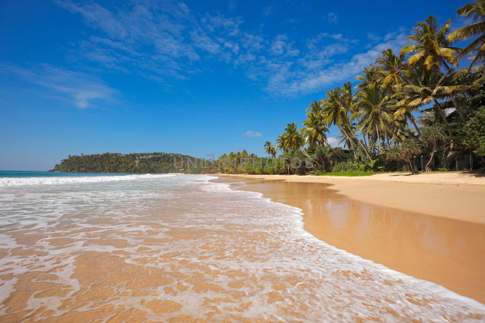 Idyllic beach. Sri Lanka by dimol