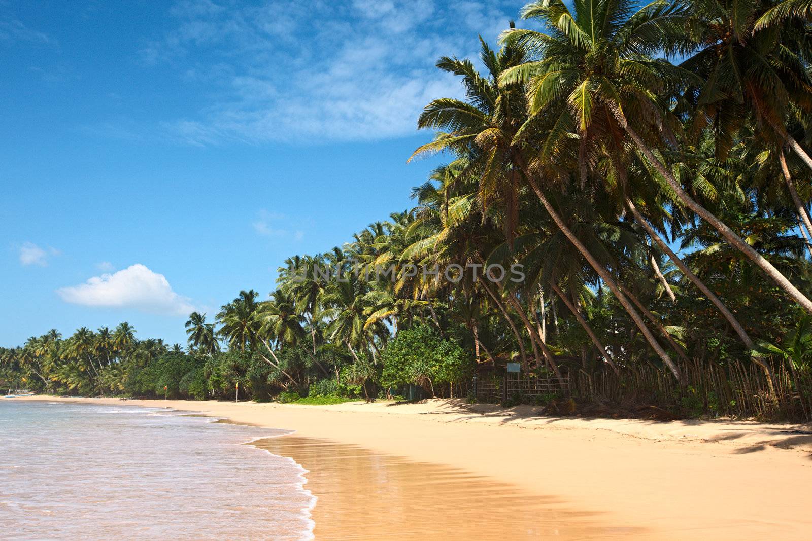 Tropical paradise idyllic beach. Sri Lanka