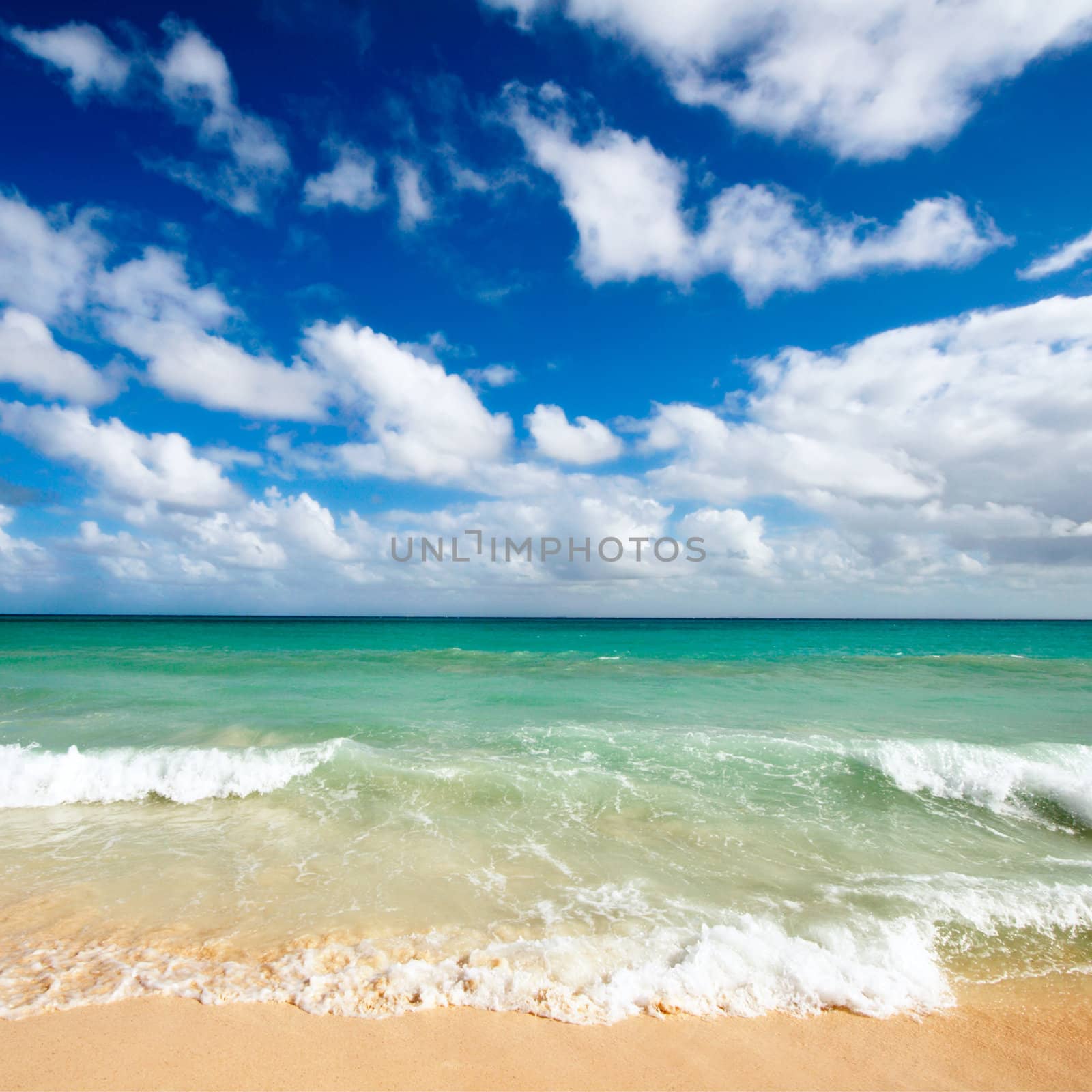 Beautiful beach and  waves of Caribbean Sea