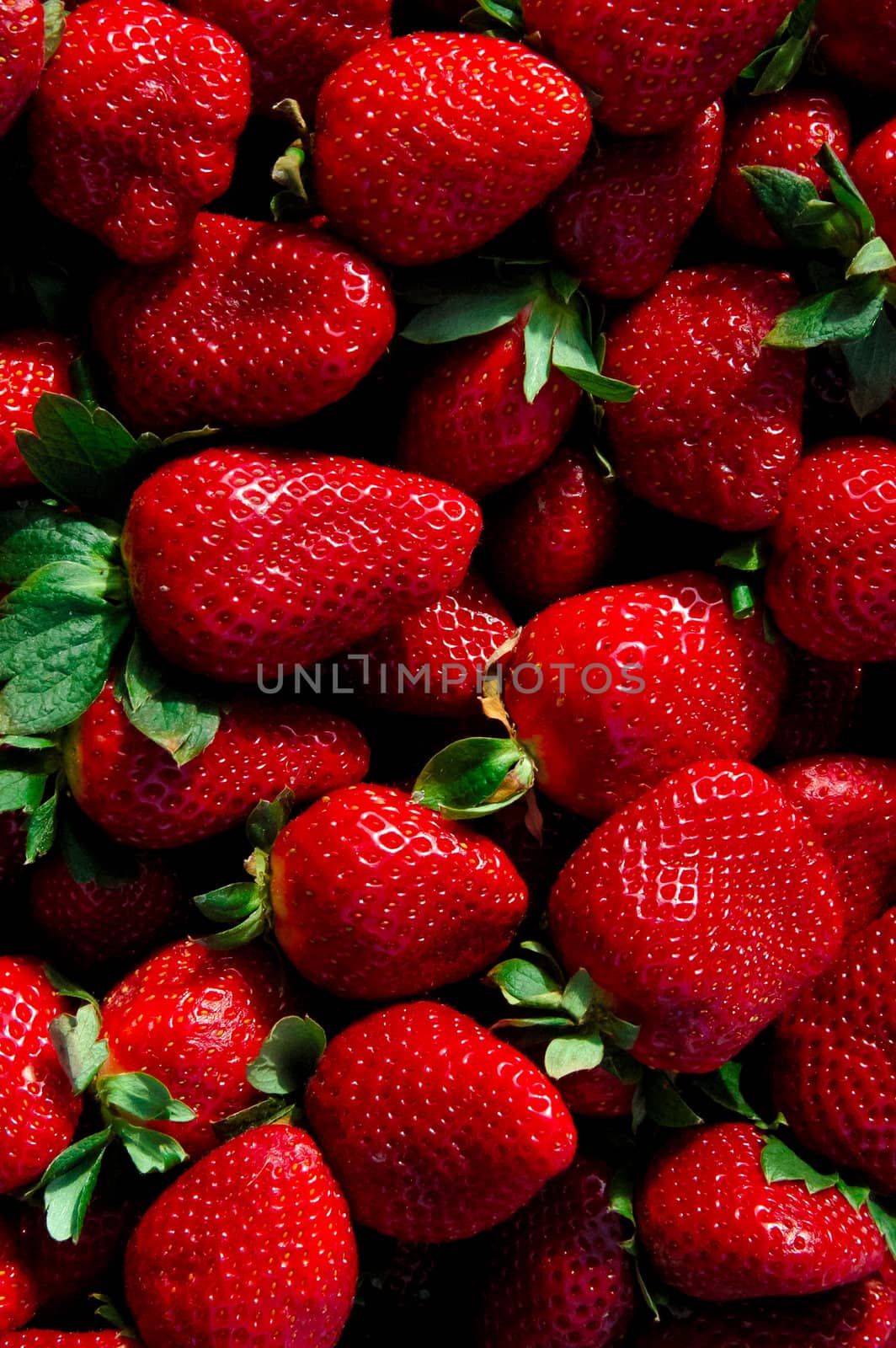 Fresh Strawberries at the market