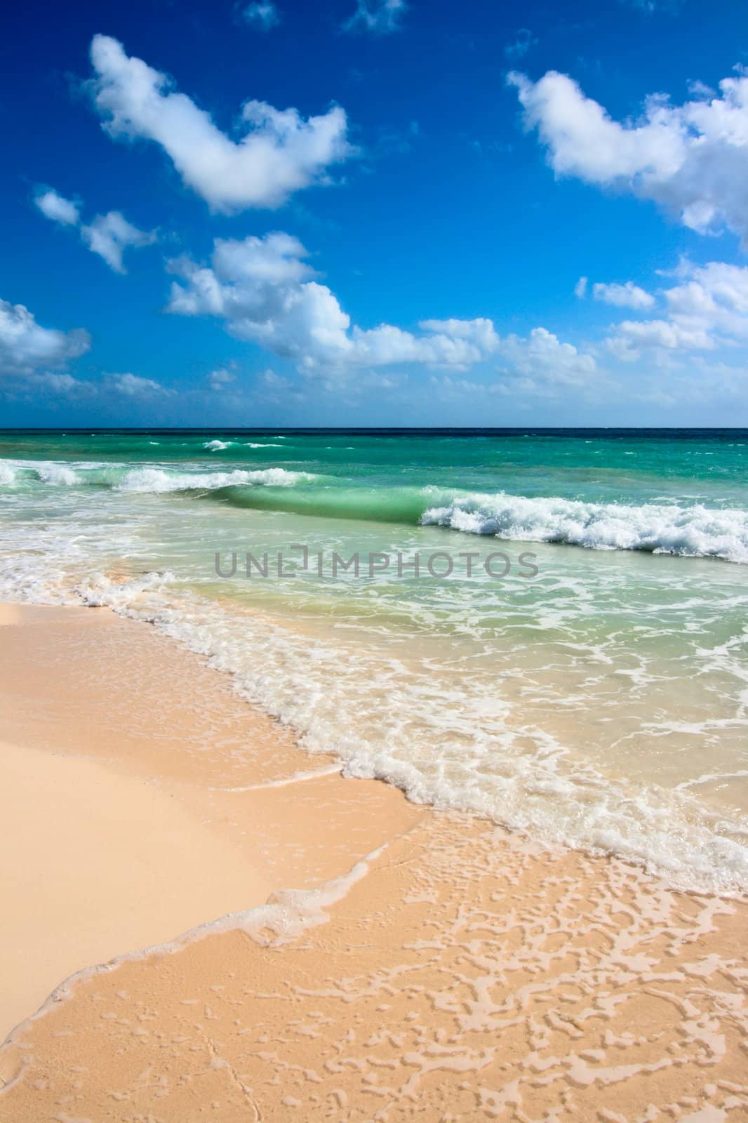 Beautiful beach and  waves of Caribean Sea