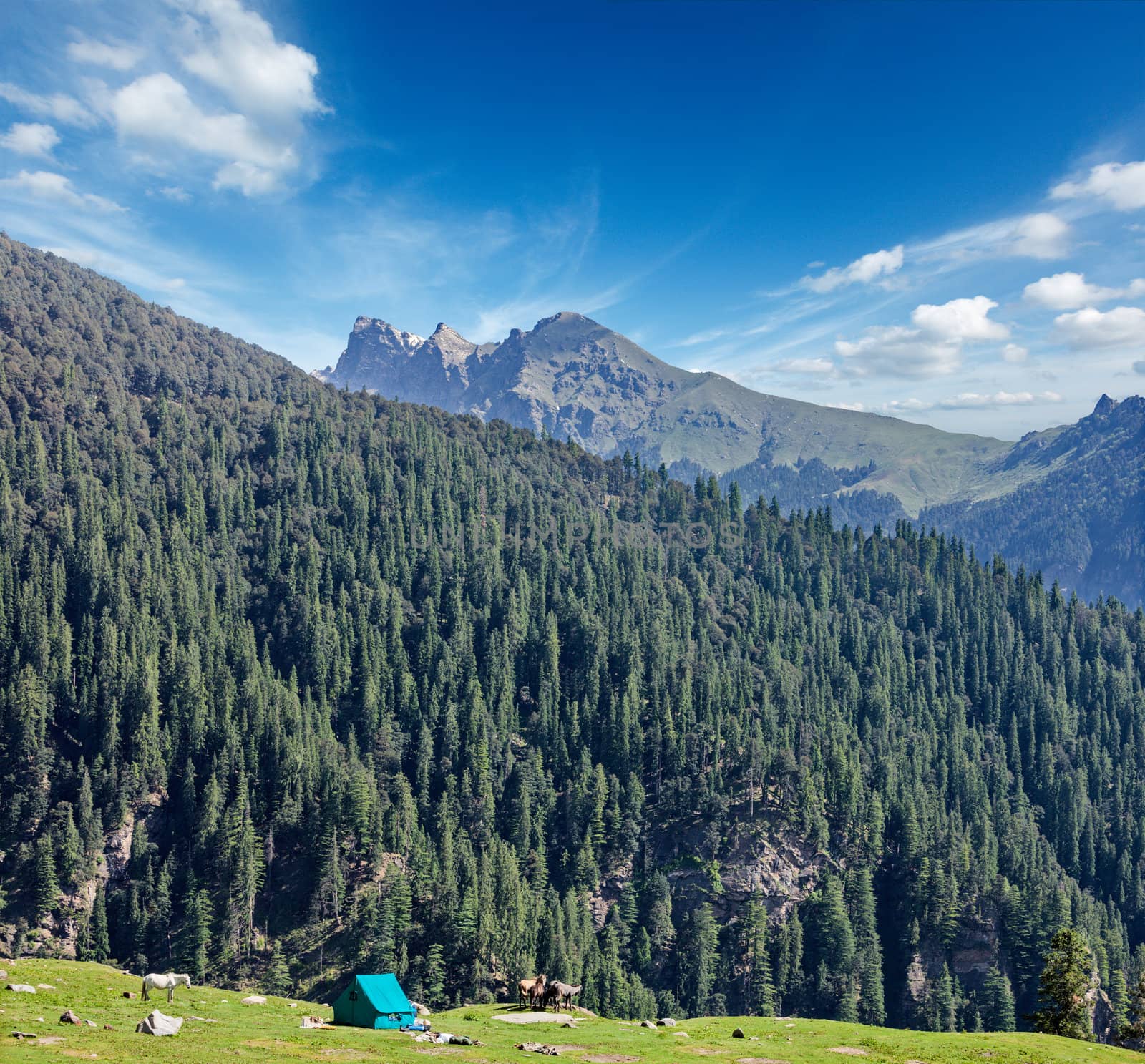 Camp tent in mountain by dimol