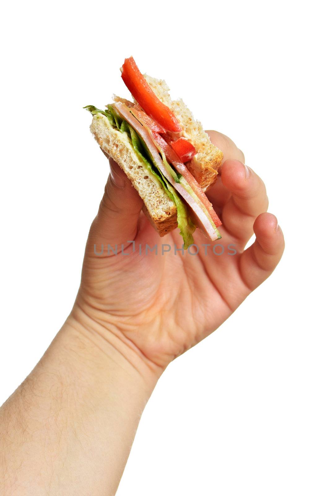 Man's hand holding bitten sandwich isolated on white