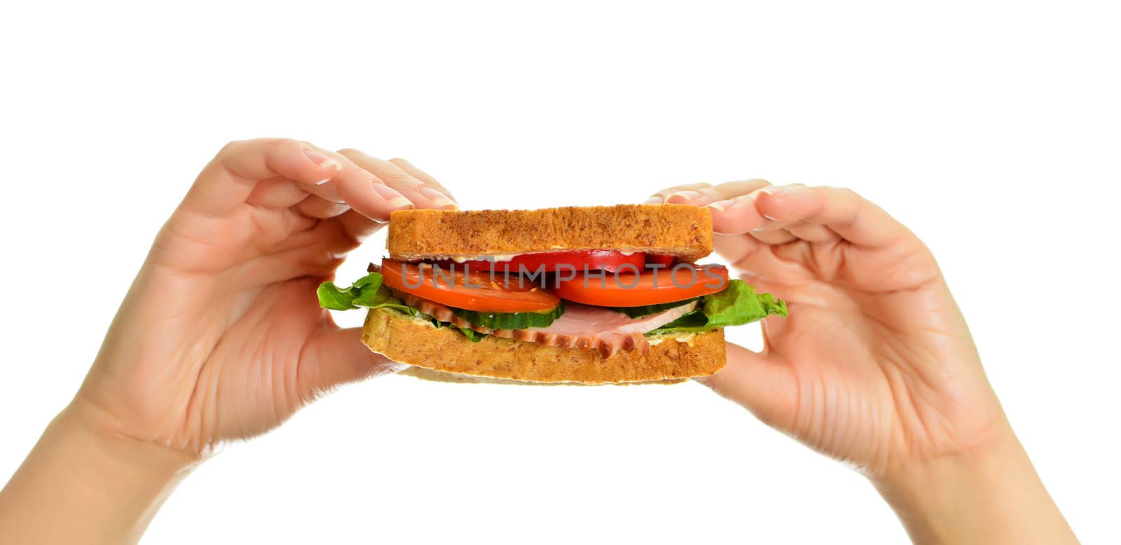 Woman's hands holding a sandwich, isolated on white