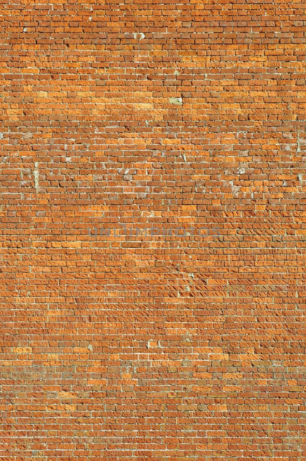 A vertical brick wall background
