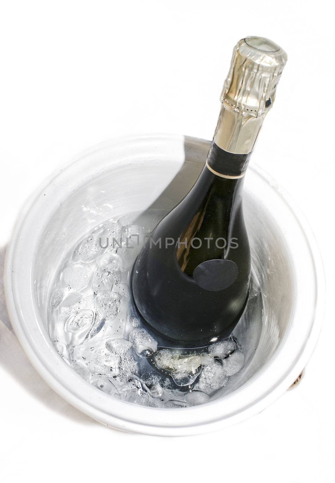 Cold bottle of champagne on ice with white background