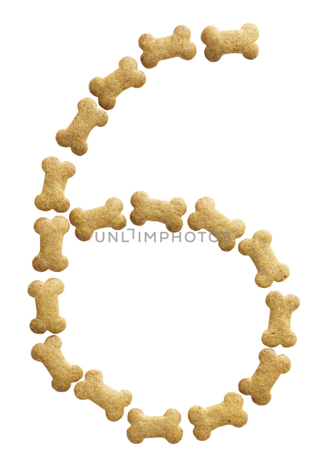 Number 6 made of bone shape dog food on white background, shot directly from above