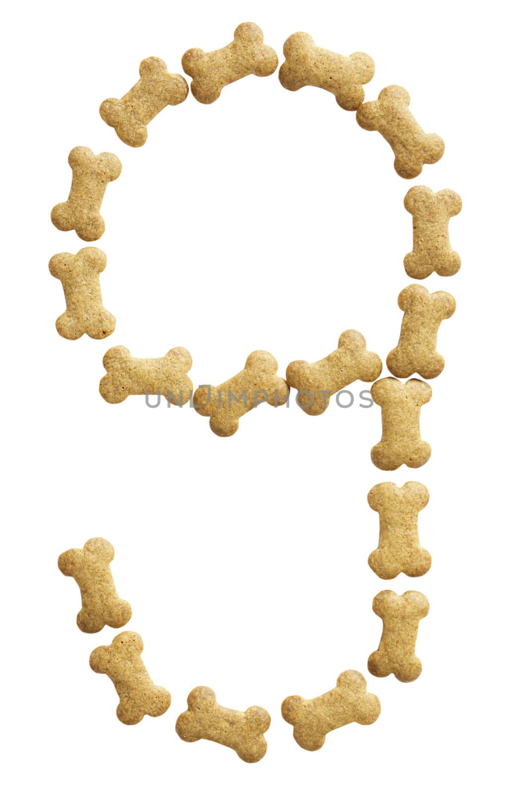 Number 9 made of bone shape dog food on white background, shot directly from above