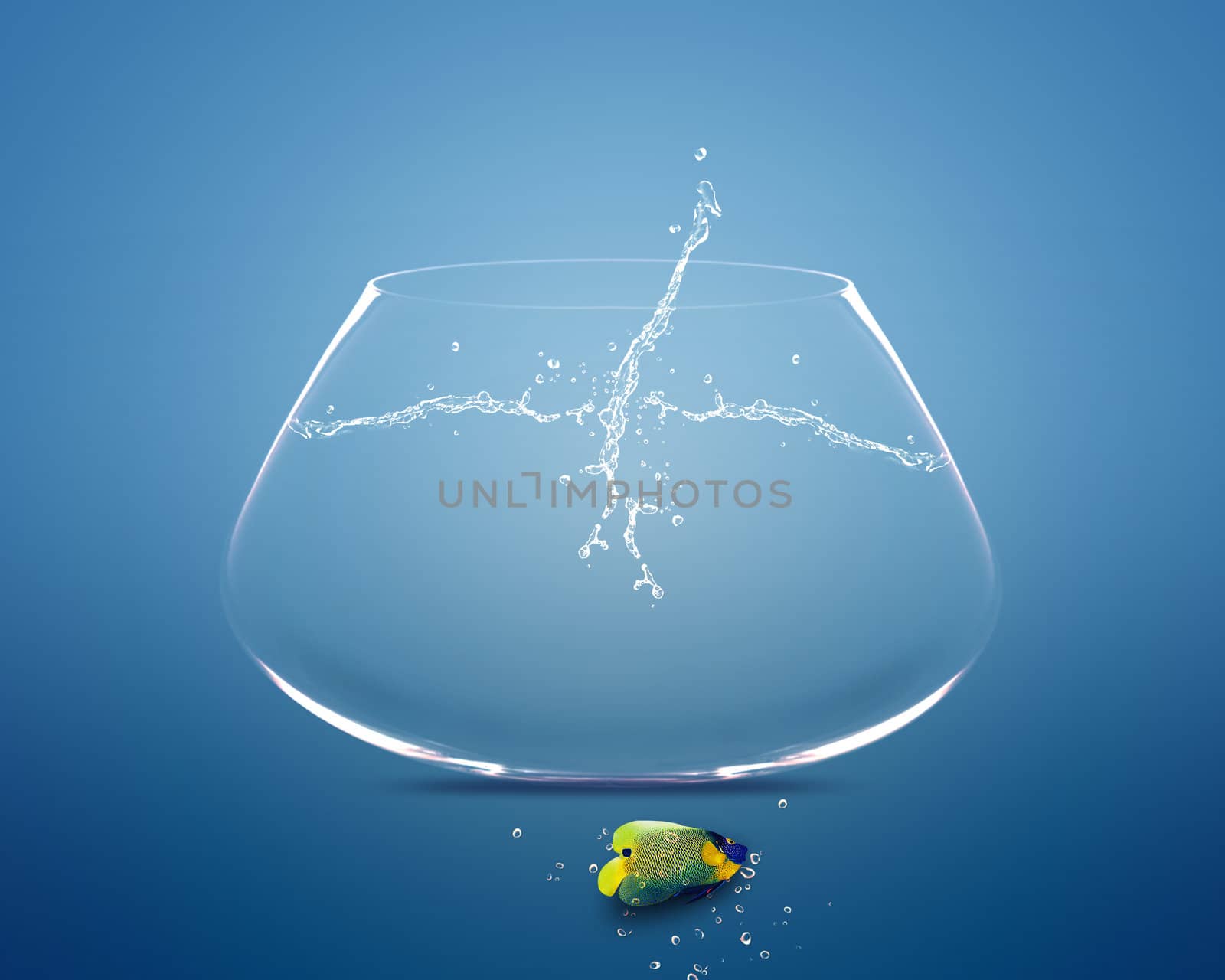 angelfish jumping out of fishbowl by designsstock