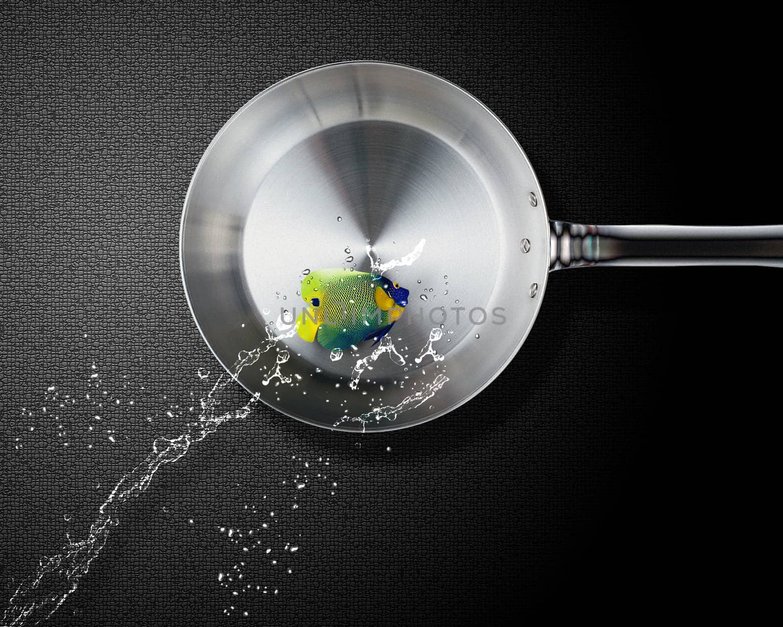 Angelfish jumping to frying pan by designsstock