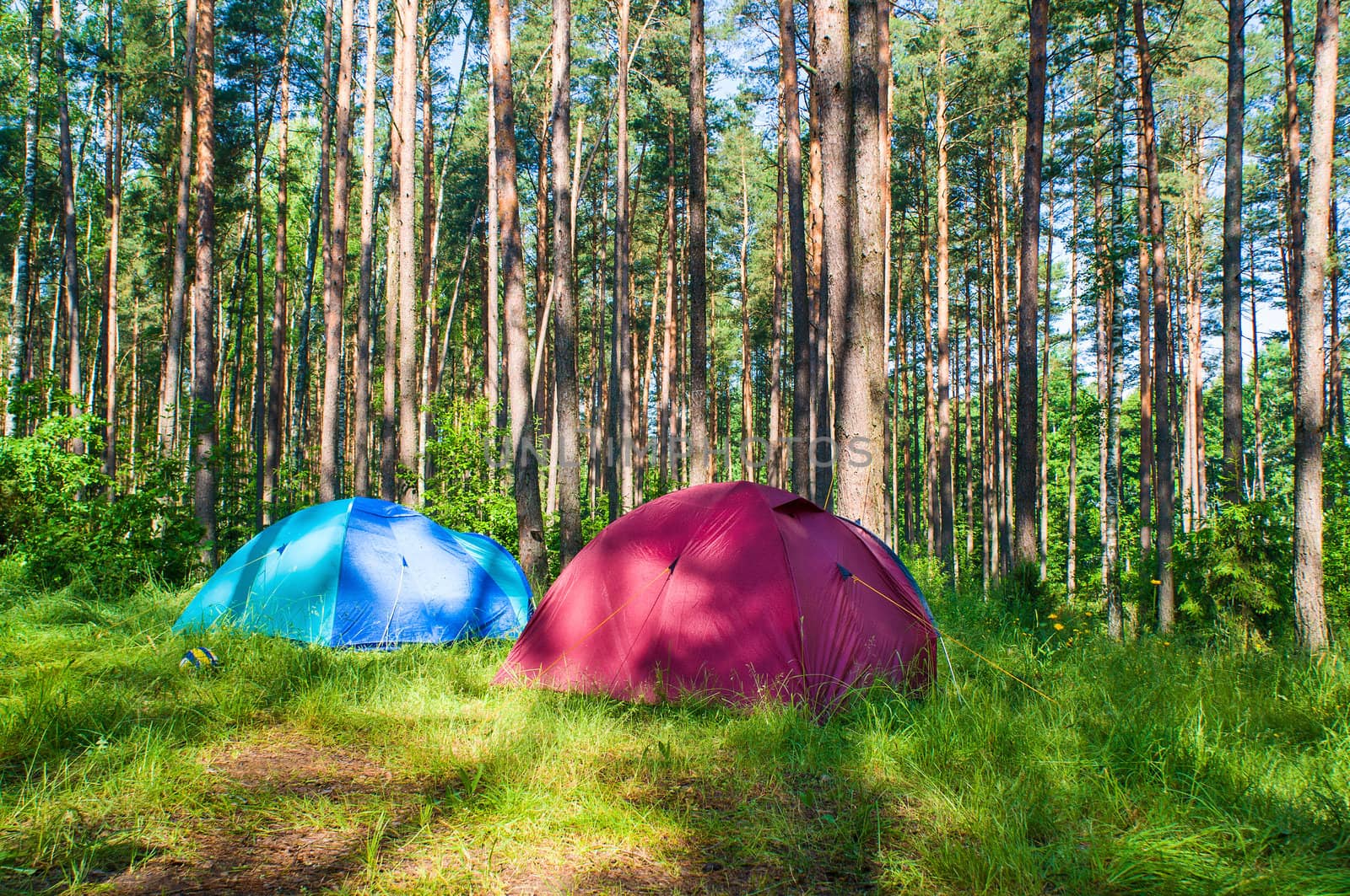 Tourist camping in the forest by Draw05