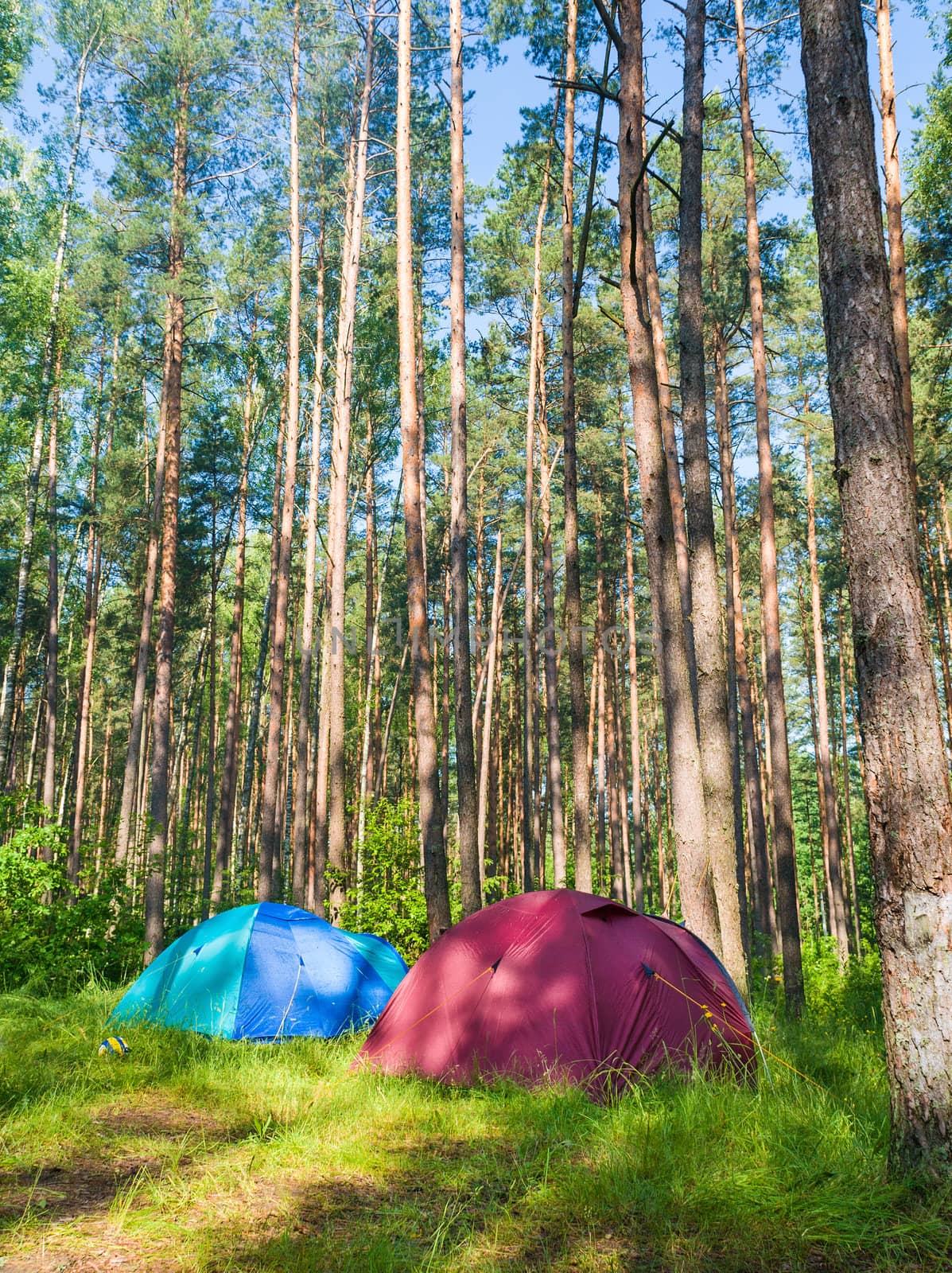 In the tourist camp in the forest