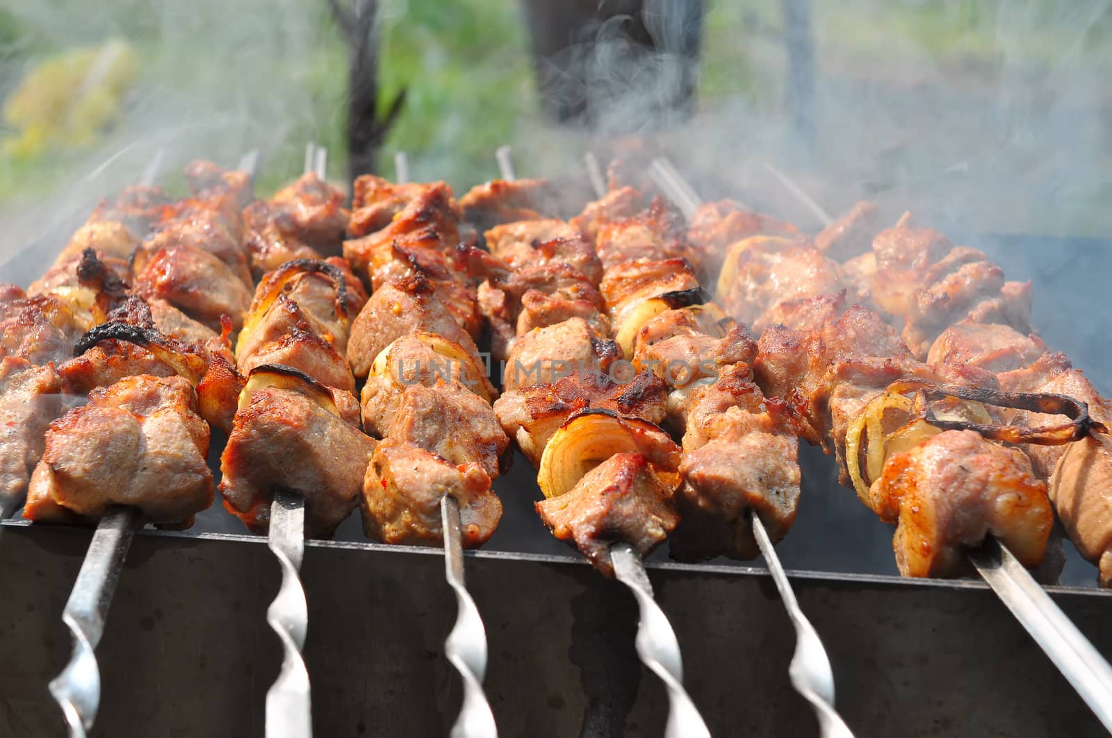 Juicy slices of meat with onion prepare on fire with smoke