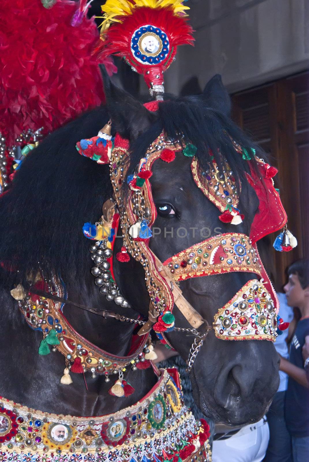  Folkloristic parade of traditional horse-cars in Sicily  by gandolfocannatella