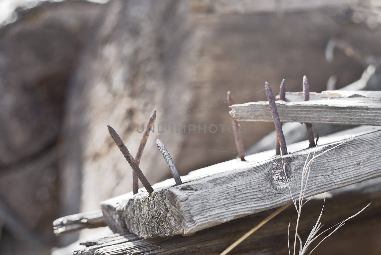 Rusty Nails in Cracked Wooden Plank