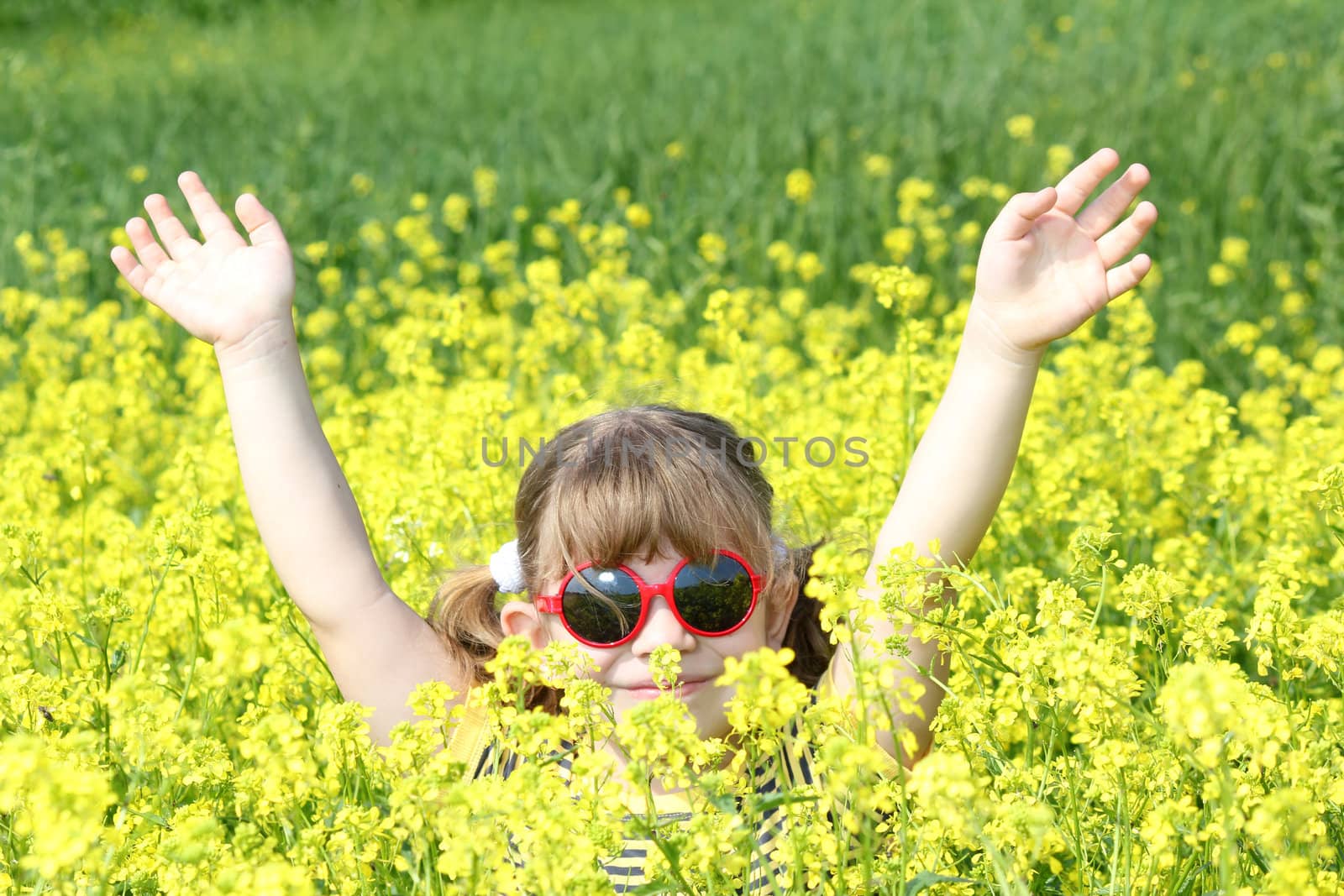 little girl with hands up in yellow flower field
