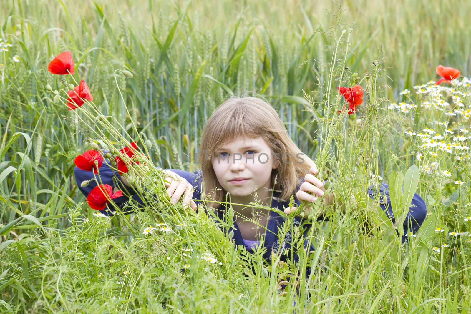 Cute young girl in poppy field by miradrozdowski