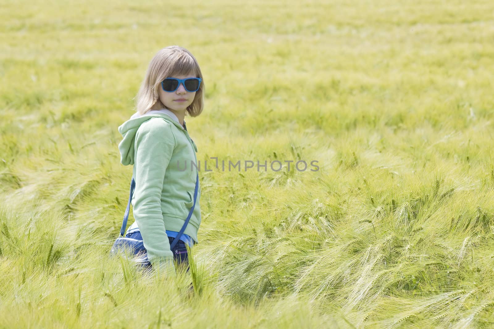 young girl in the field of barley