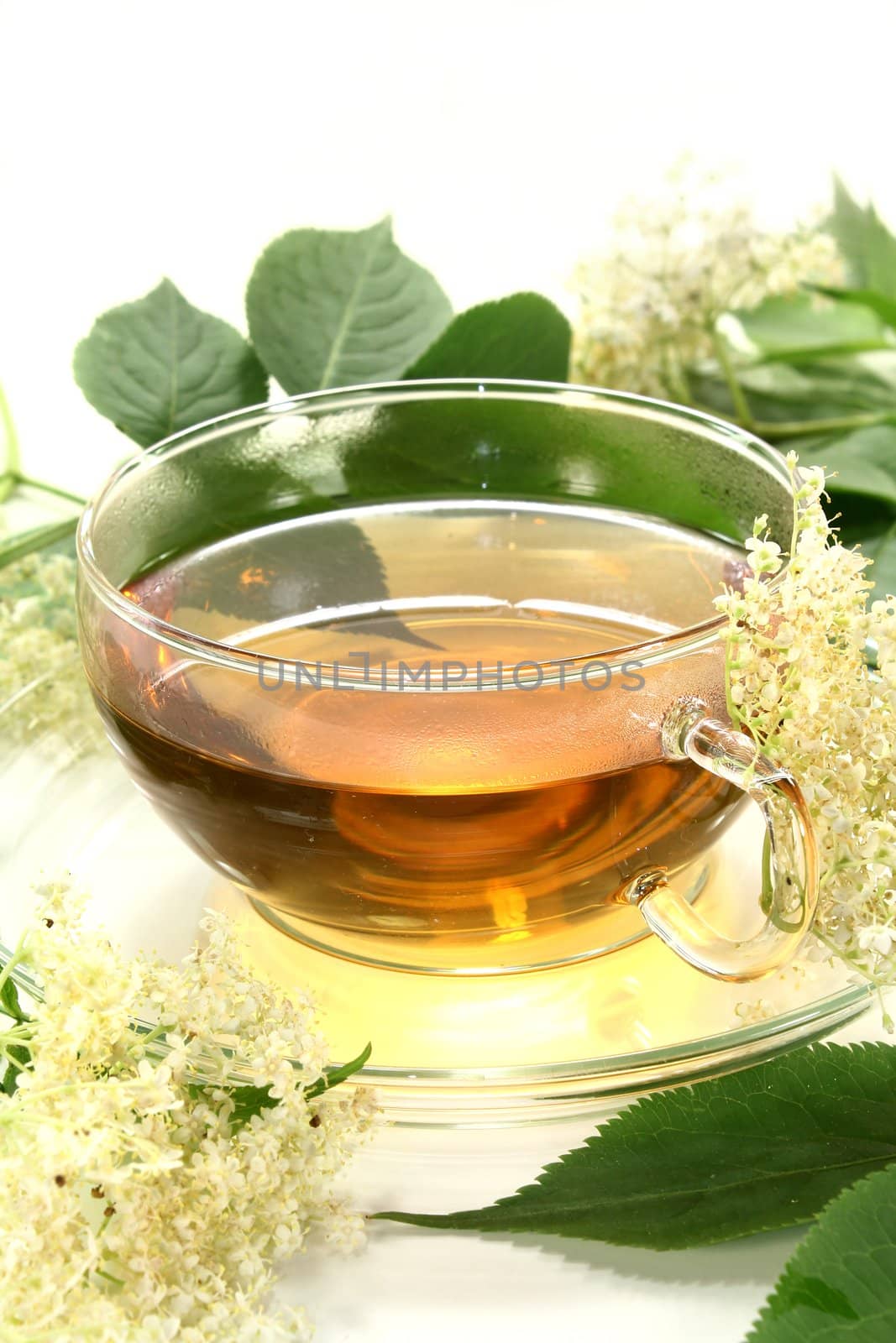 a cup of elderflower tea with fresh flowers