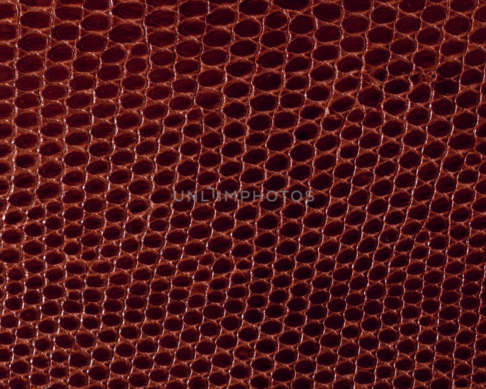 Leather texture