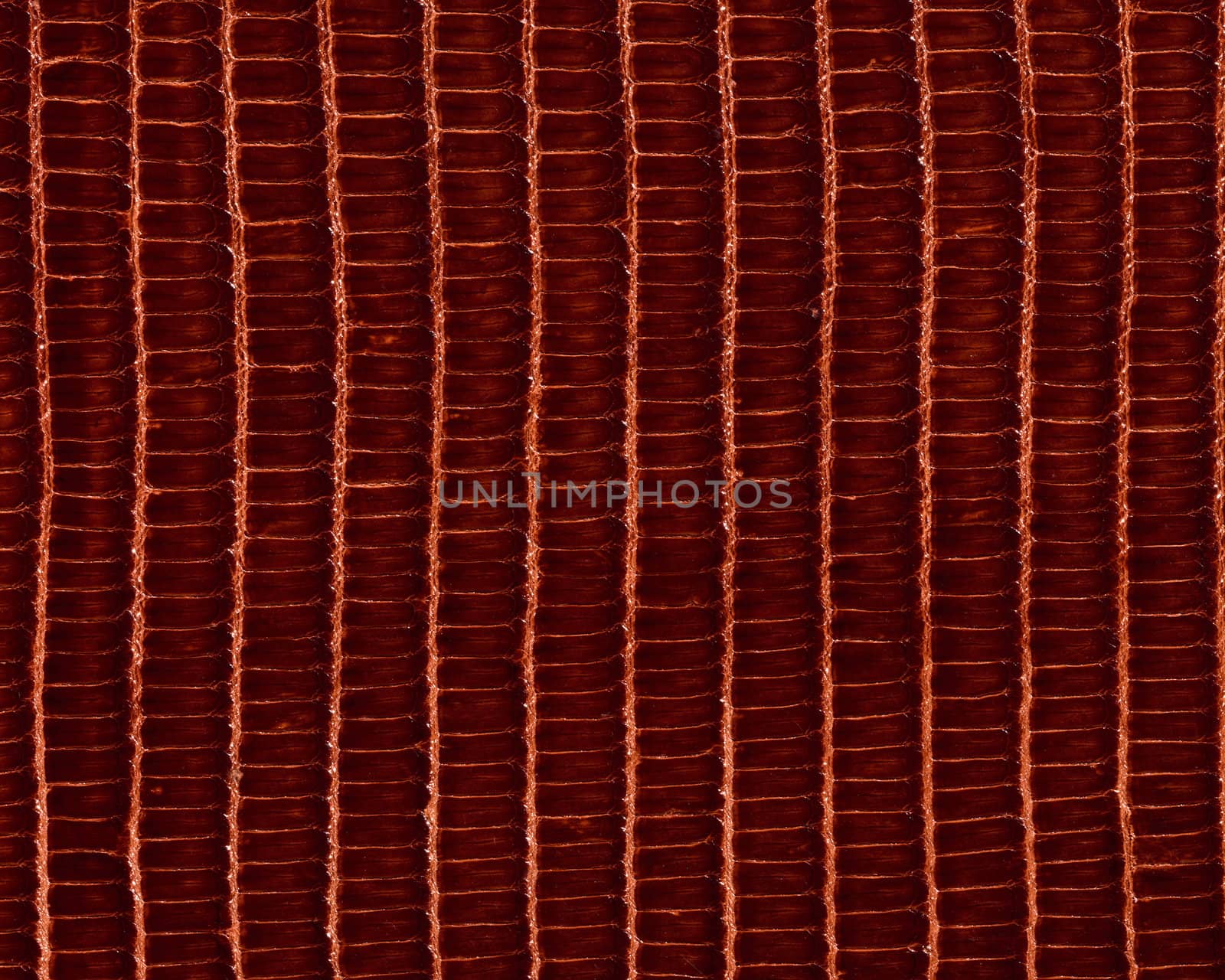 Leather texture