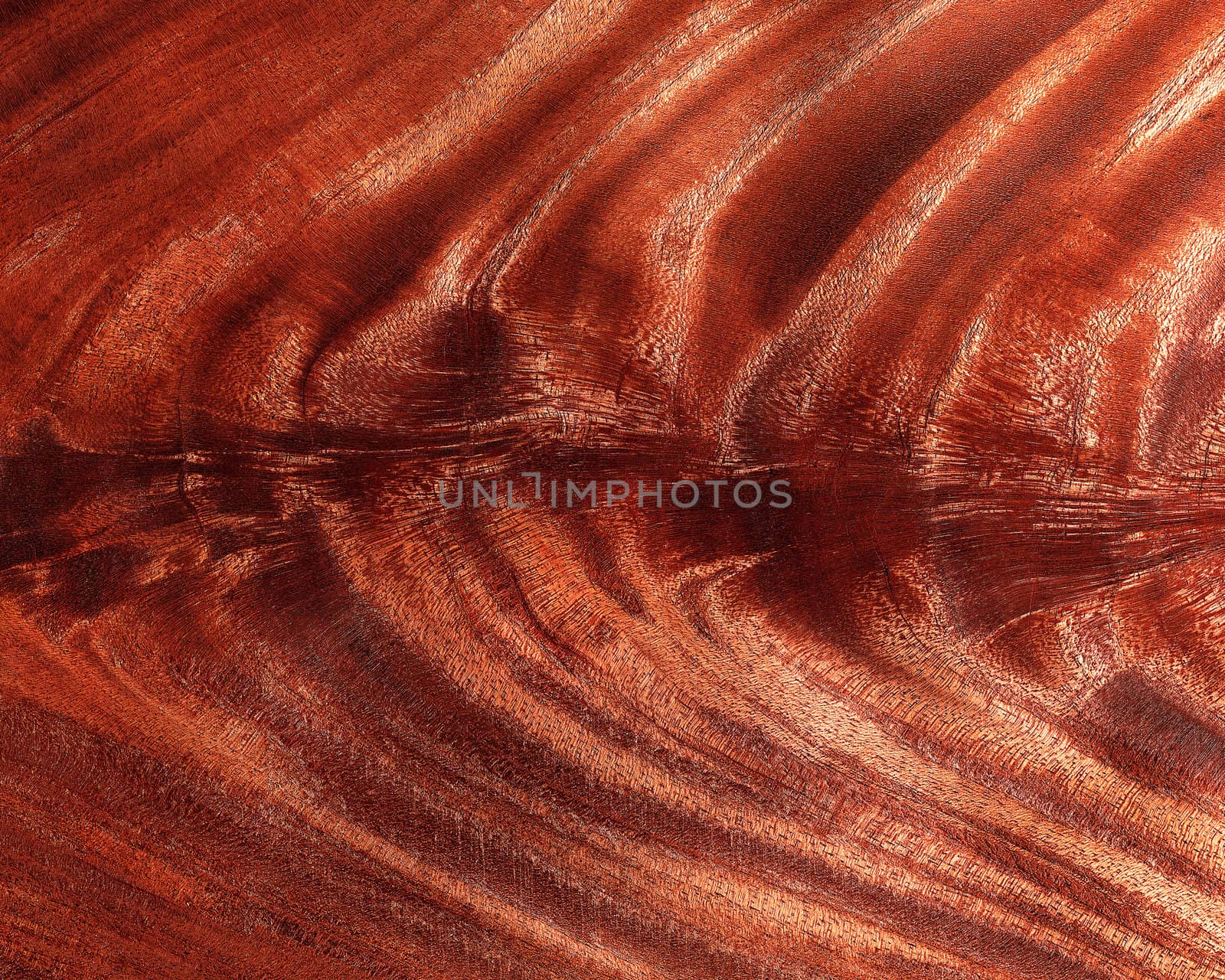 Wood background by Baltus