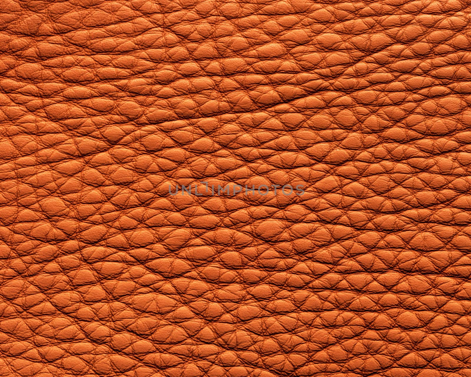 Leather texture by Baltus