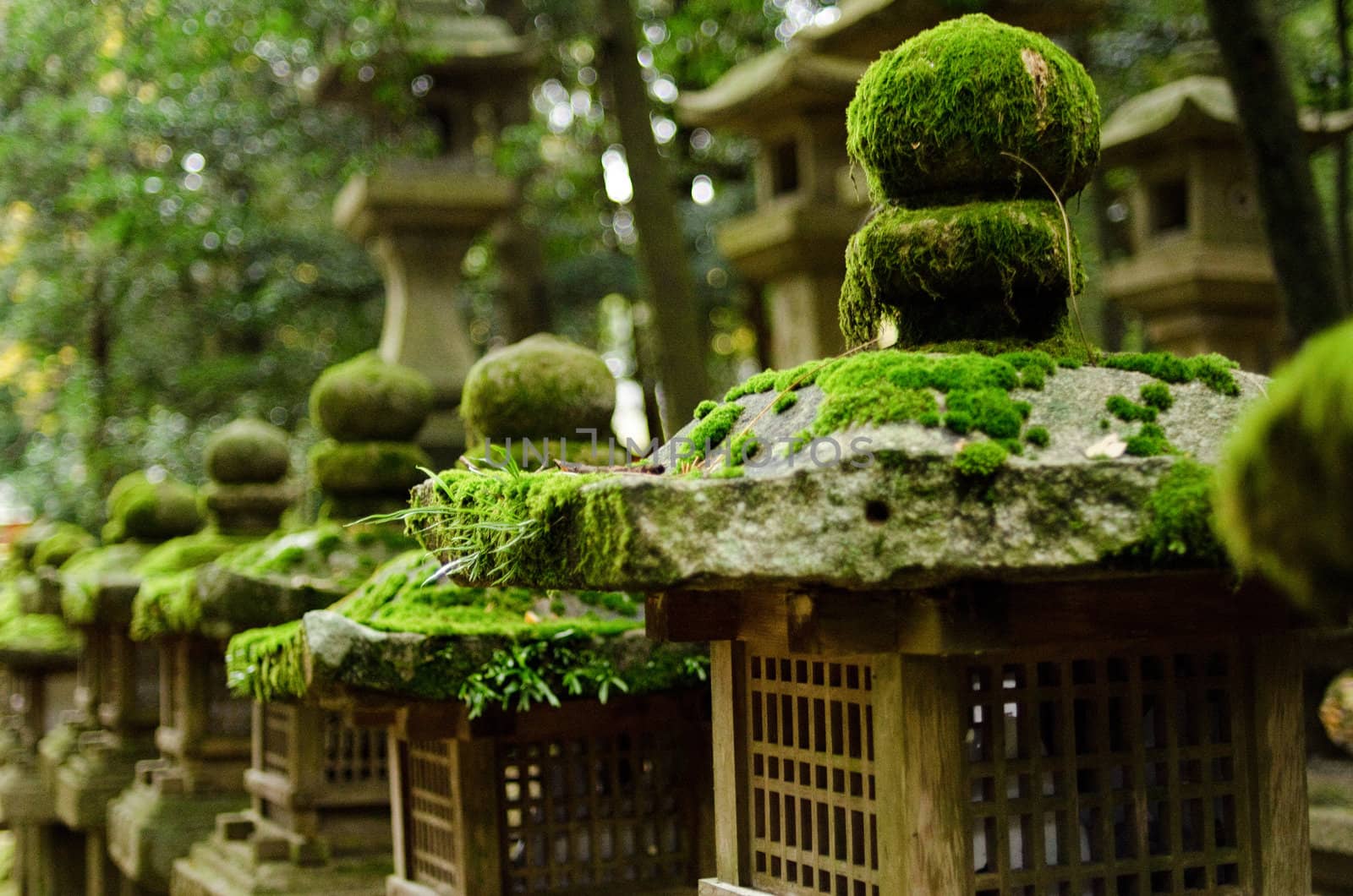 Typical japanese stone lanterns in Nara, Japan