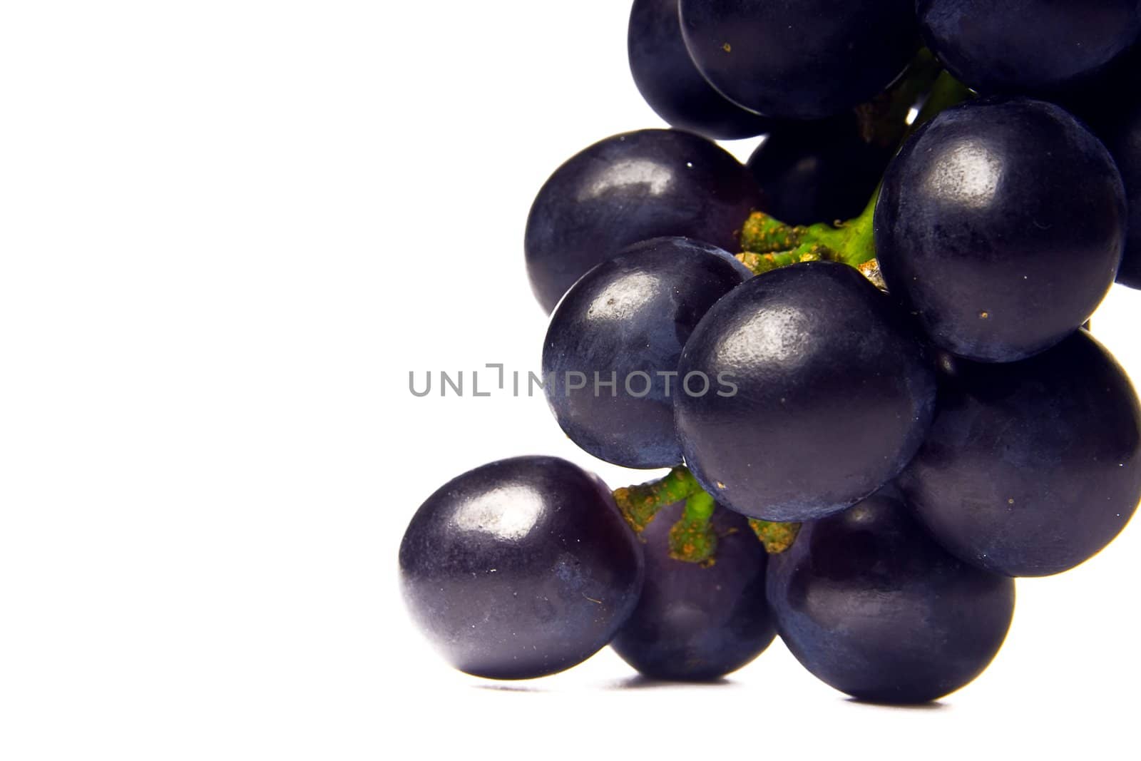 cluster of vine of dark color on a white background