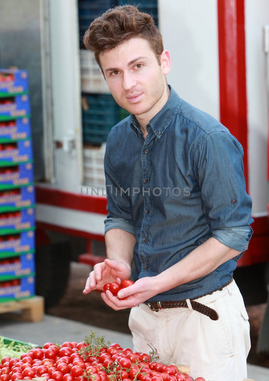 Young attractive man choosing tomatoes by shamtor