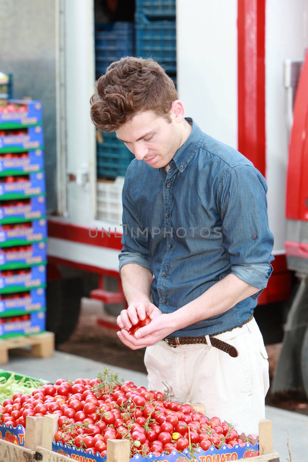 Young attractive man at grocery choosing tomatoes
