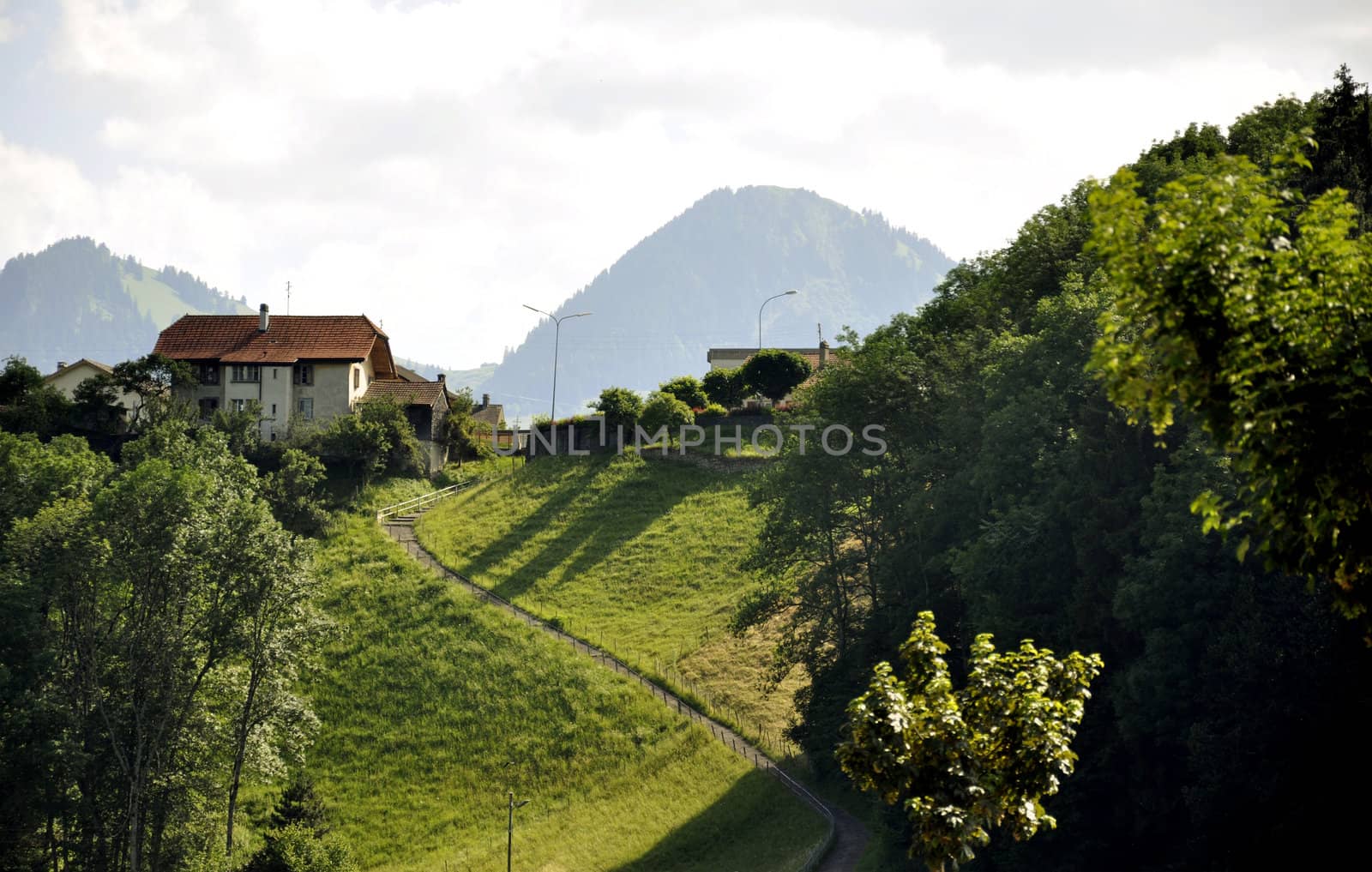 A path leading up to a house on a hill