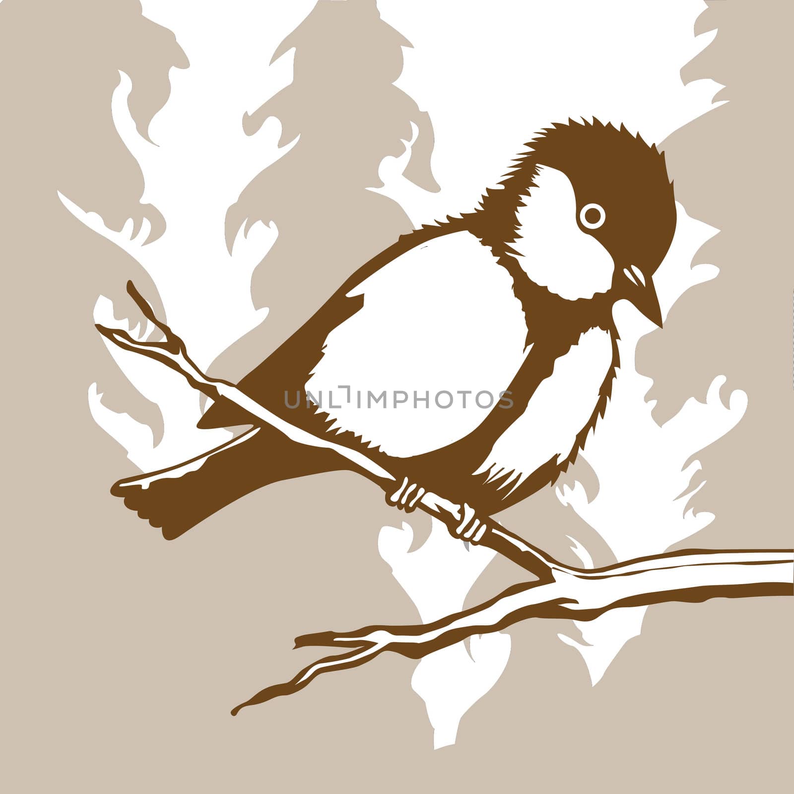 bird silhouette on wood background by basel101658
