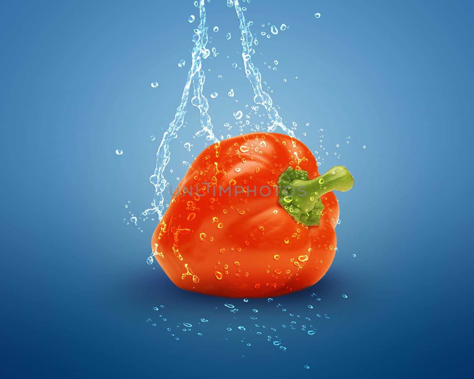 Fresh red bell pepper with water splashes on blue background.
