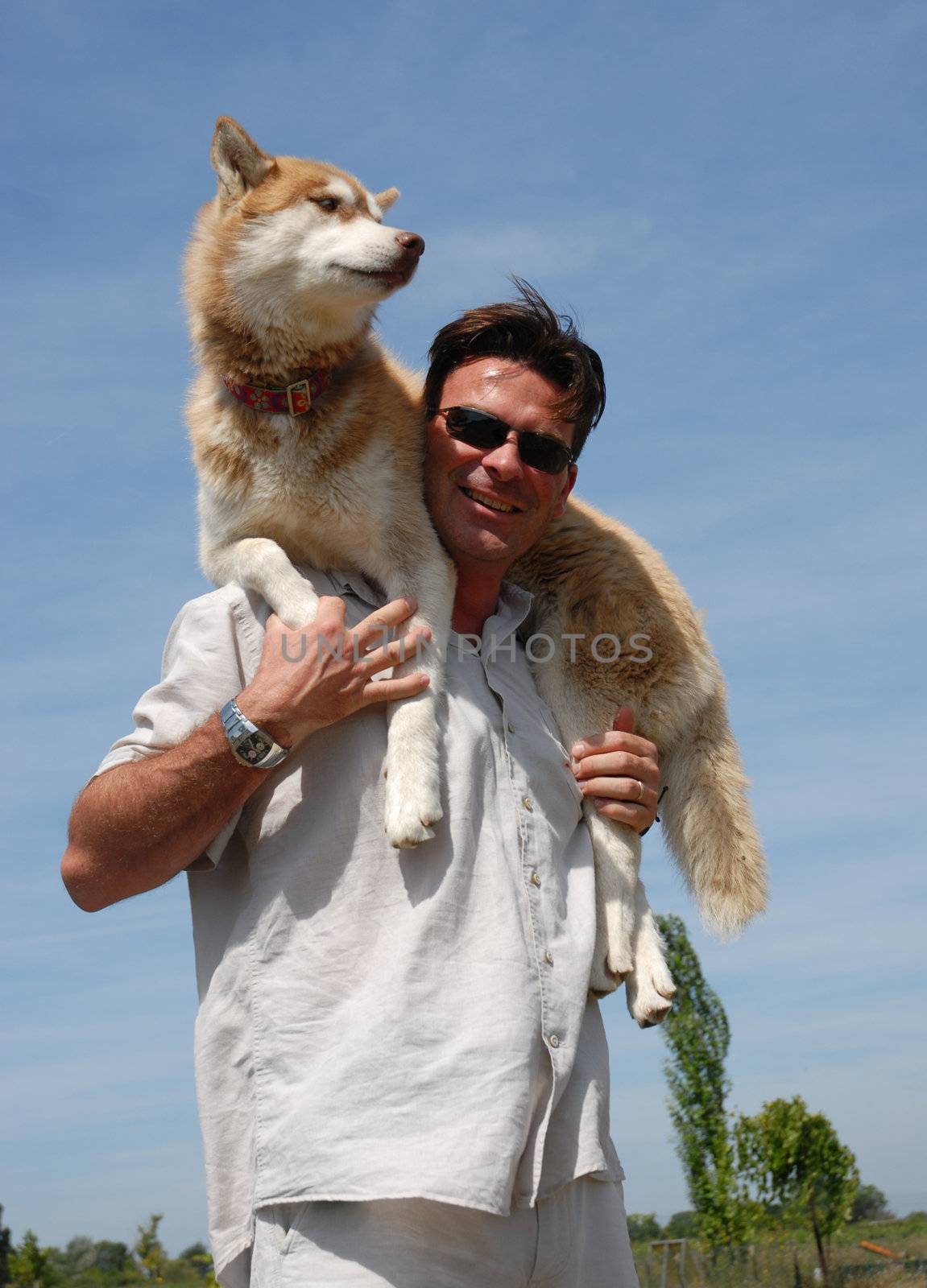 smiling man and his best friend purebred siberian husky dog
