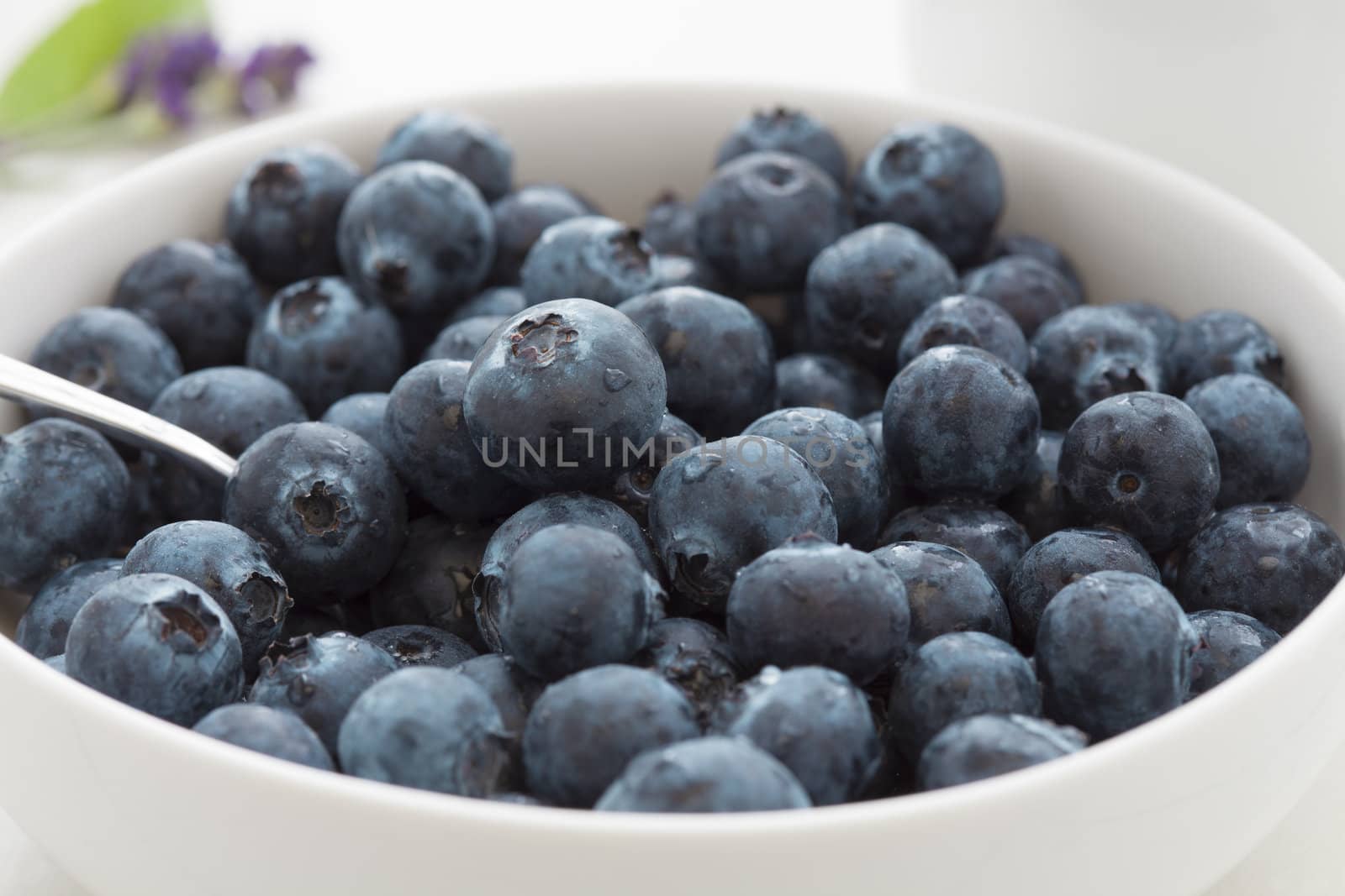 Fresh juicy blueberries by biitli