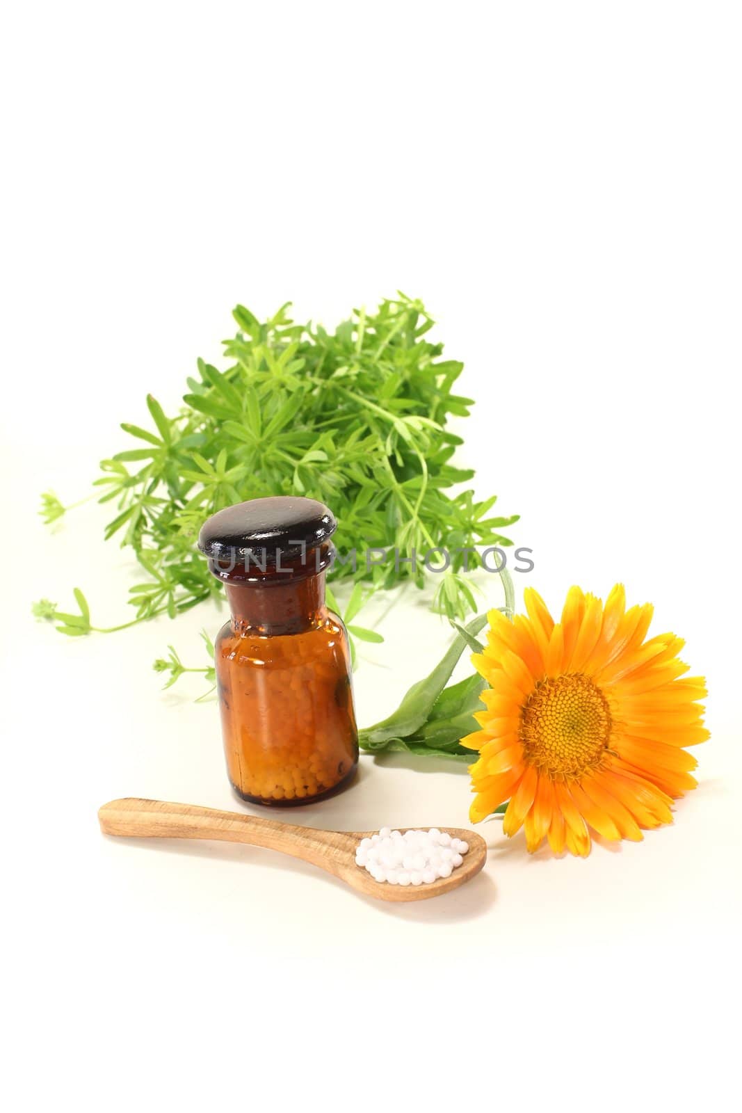 Homeopathy globules, an apothecary jar, natural herbs and marigolds