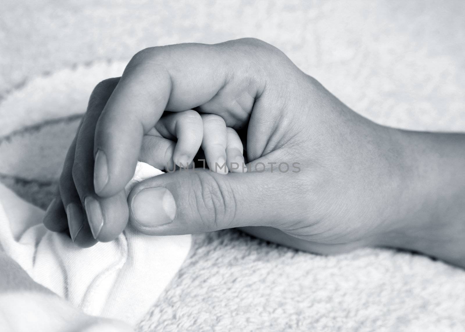 The image of hands of parent and the child