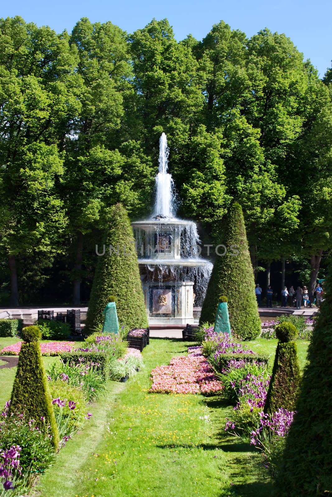 Roman Fountain in Peterhof (Petrodvorets). St. Petersburg, Russia