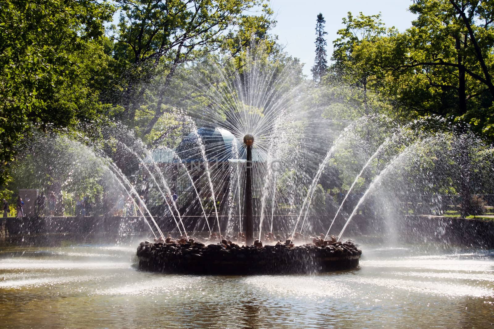 Fountains Sun in Peterhof Palace garden. St. Petersburg, Russia