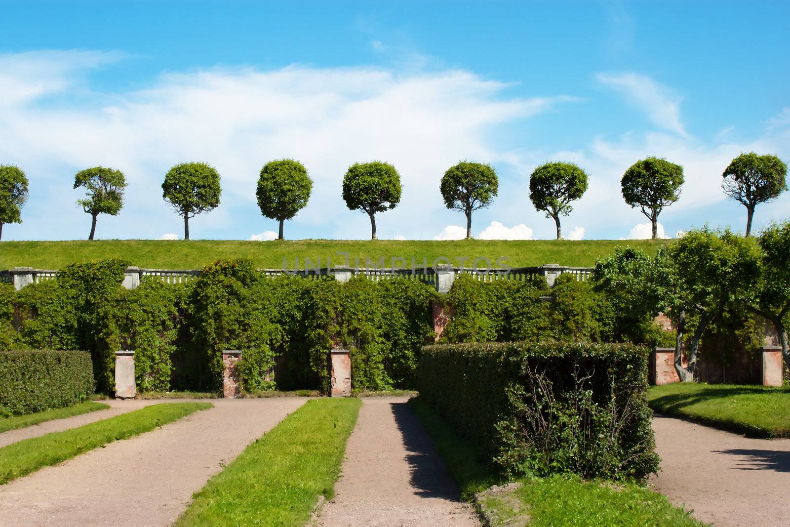 Garden of Peterhof with trees and sky. St.Petersburg, Russia.