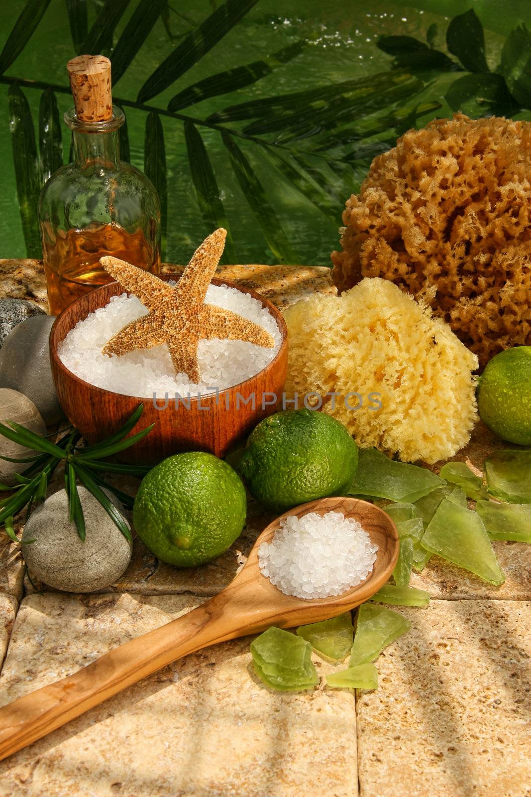 Spa still life with bath salts, citrus fruit and sponges