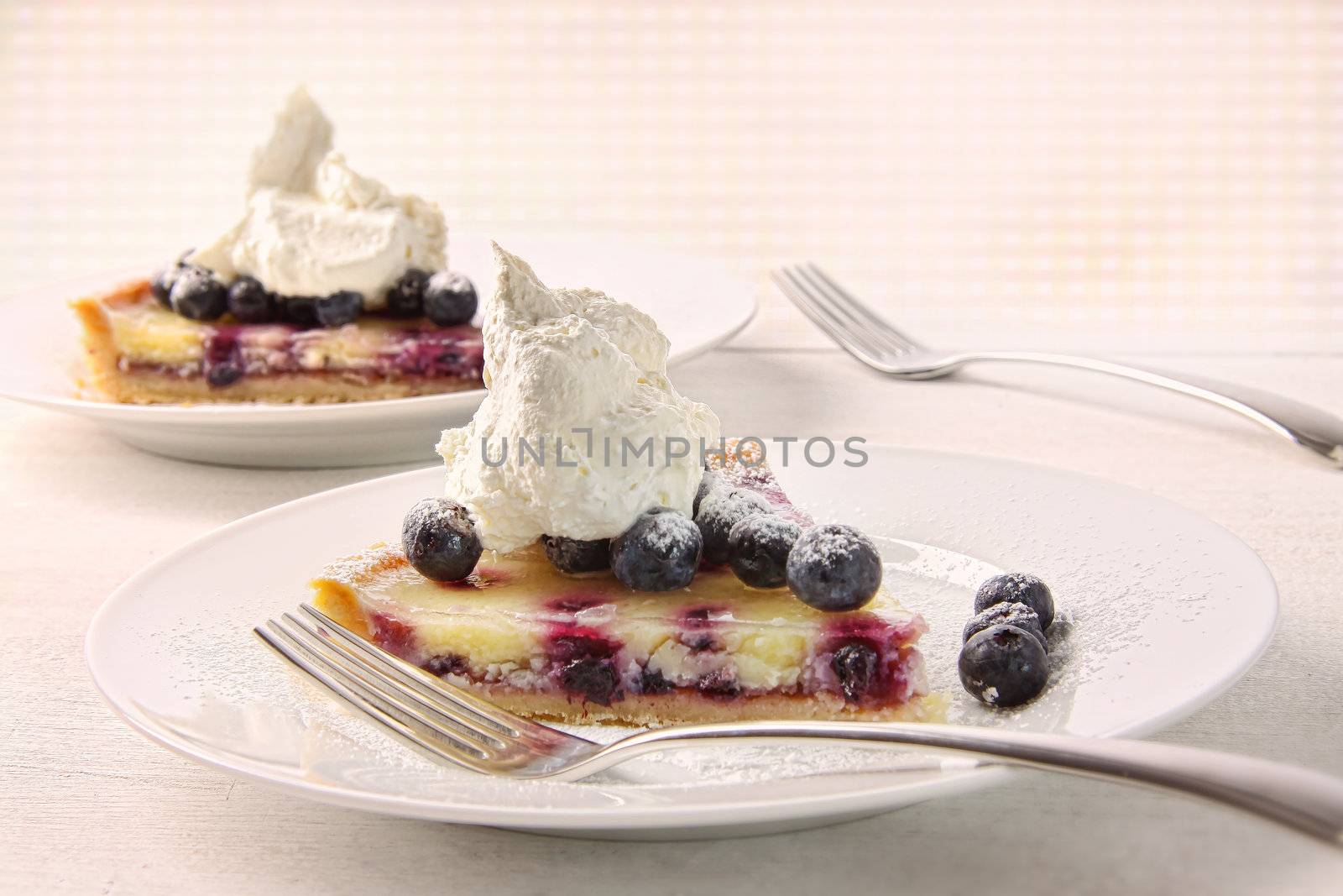 Closeup of fresh lemon blueberry tarte  by Sandralise