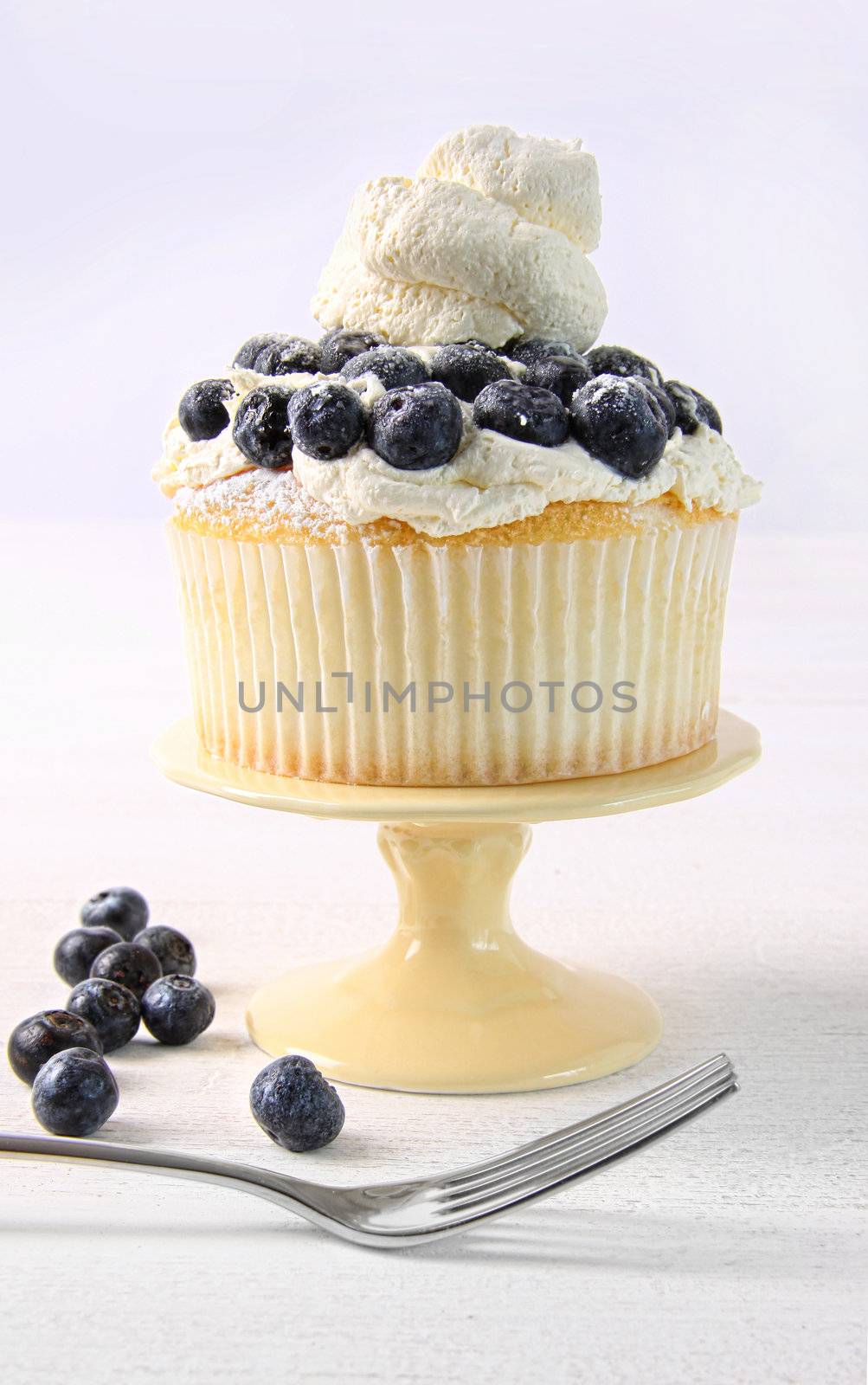 Delicious summer dessert with blueberries and whip cream